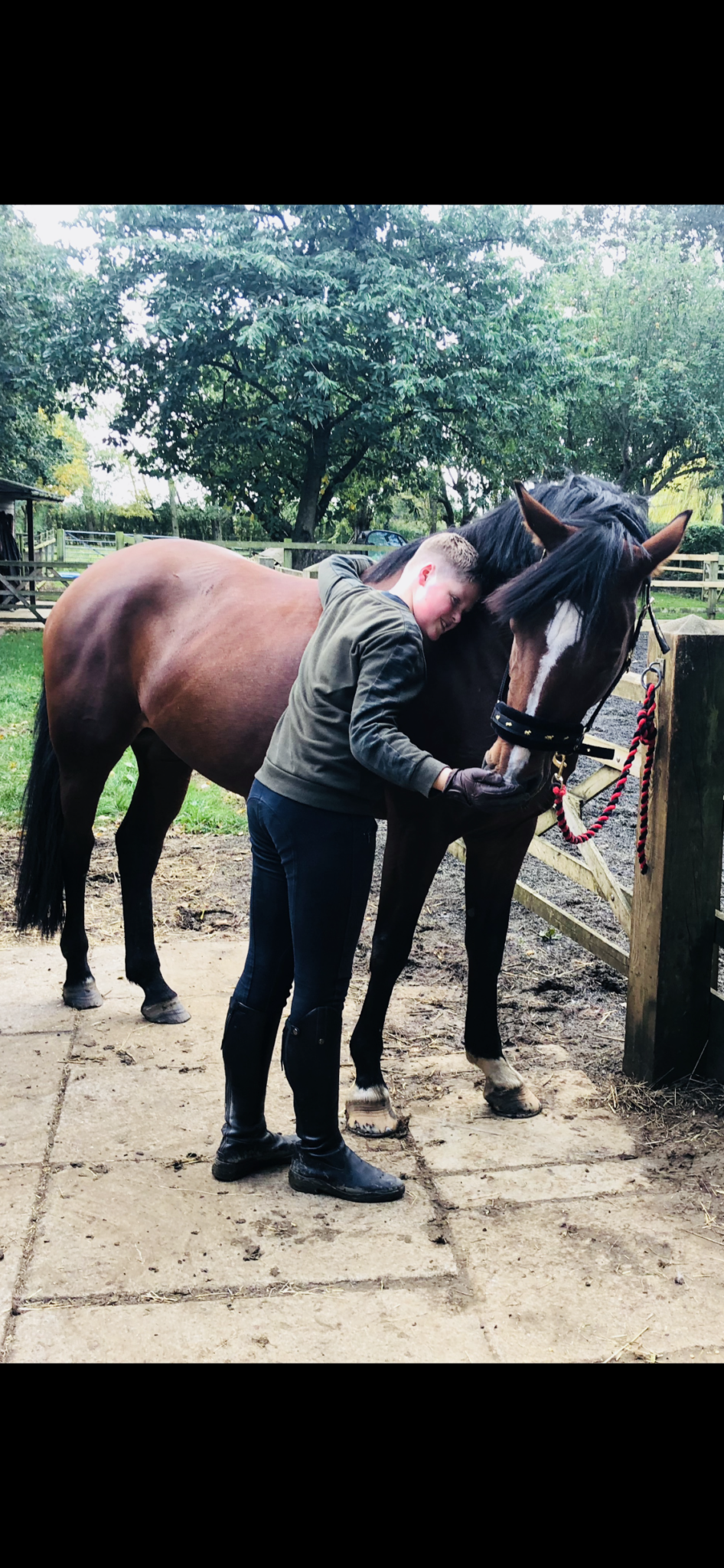 Lynn Robertson Horse Dealer Reviews Equine Dealers