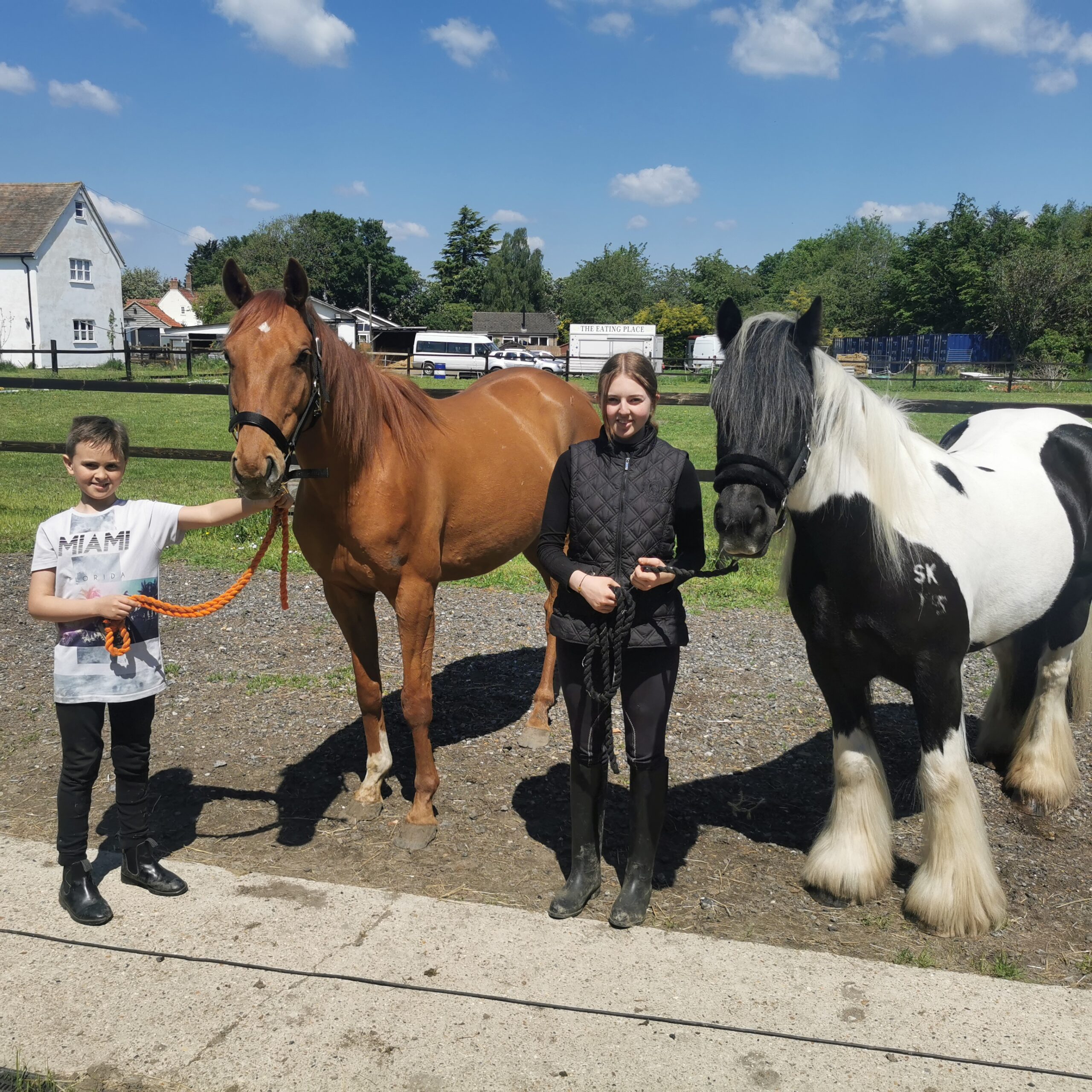 Lynn Robertson Horse Dealer Reviews Equine Dealers